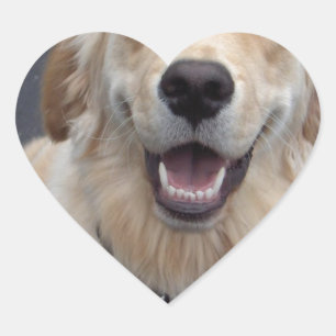 Adesivo Coração Crie suas próprias expressões! Ferramentas fáceis