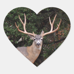 Adesivo Coração Deer Heart Sticker