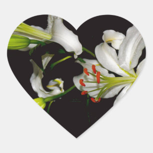 Adesivo Coração Design irlandês - Coleção de latas e flores