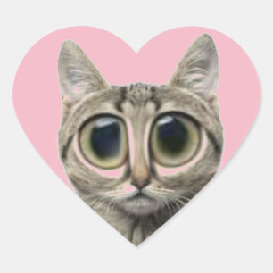 Adesivo Coração Dia de os namorados de Gato Bonito