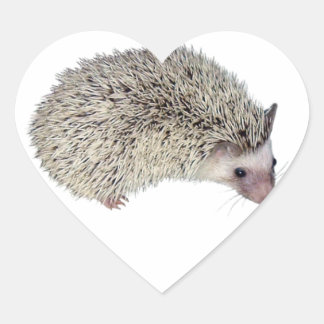 Adesivo Coração DIY Hedgehog direito