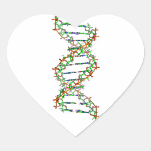 Adesivo Coração DNA - Ciência/Cientista/Biologia