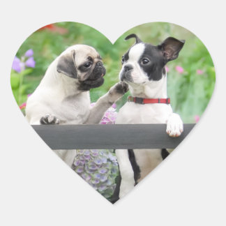 Adesivo Coração Dois cachorros por filhote e Boston Terrier juntos