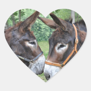 Adesivo Coração Donkeys apaixonado