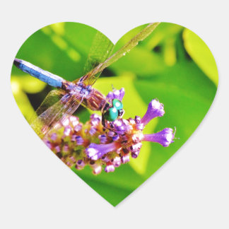 Adesivo Coração Dragonfly de cor arco-íris numa flor rosa púrpura