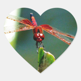 Adesivo Coração Dragonfly Frontal Vermelha e Negra
