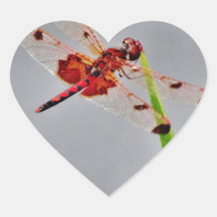 ADESIVO CORAÇÃO DSC00029.JPG