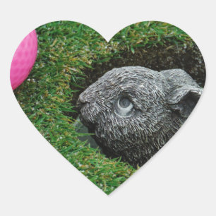 ADESIVO CORAÇÃO DSCF0652.JPG