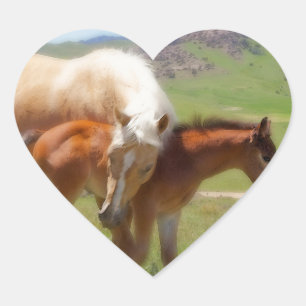Adesivo Coração Égua da foto do cavalo e de casa e de cozinha do