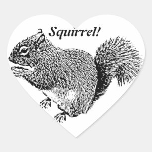 Adesivo Coração Ei Squirrel