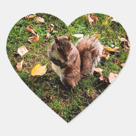 Adesivo Coração Esquilo ruidoso