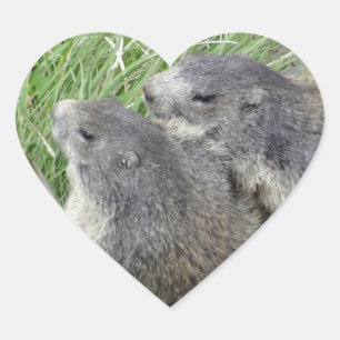 Adesivo Coração Etiquetas-marmota