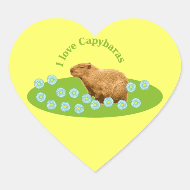 Adesivo Coração Eu amo Capybaras (Frente)