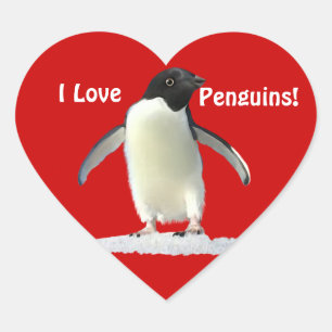 ADESIVO CORAÇÃO EU AMO PINGUINS BONITOS