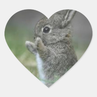 ADESIVO CORAÇÃO EU CORAÇÃO BUNNYS