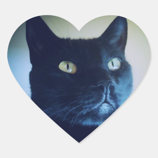 Adesivo Coração Eu Sou Gato Sticker (Frente)