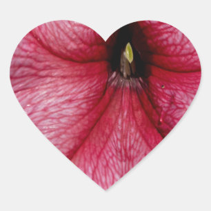 Adesivo Coração Explosão Floral