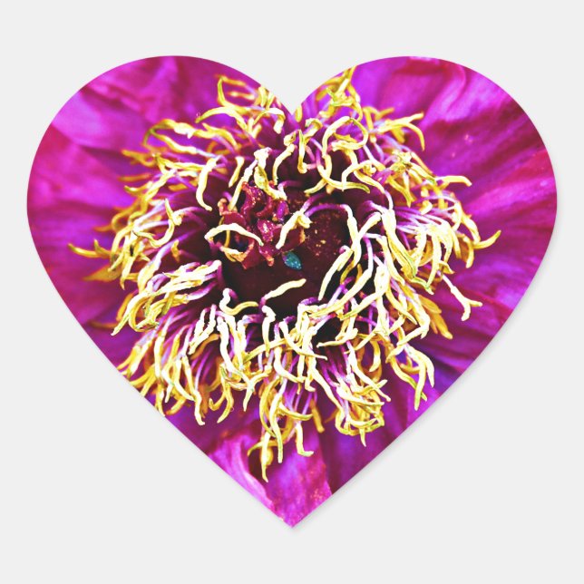 Adesivo Coração Explosão rosa (Frente)