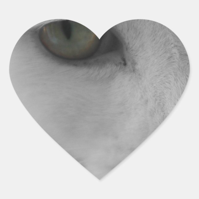 Adesivo Coração Face de gatos brancos e pretos (Frente)