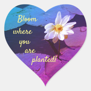 Adesivo Coração Flor da flor da almofada de lírio "onde você é