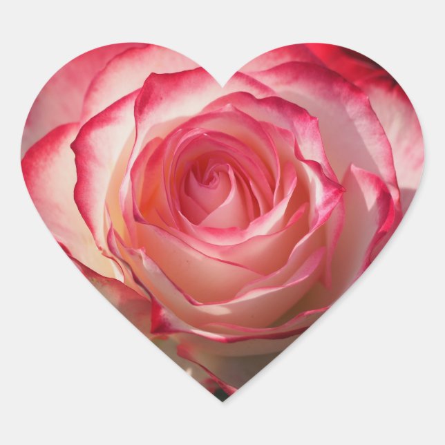 Adesivo Coração Flor da rosa vermelha (Frente)