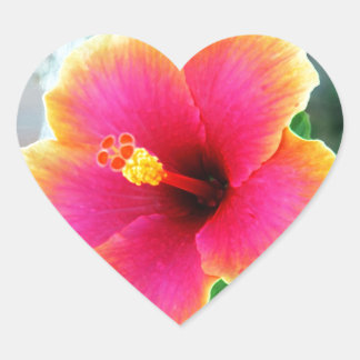 Adesivo Coração Flor rosa Brilhante Vinha Personalizar