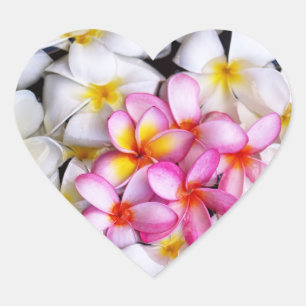 Adesivo Coração Floral