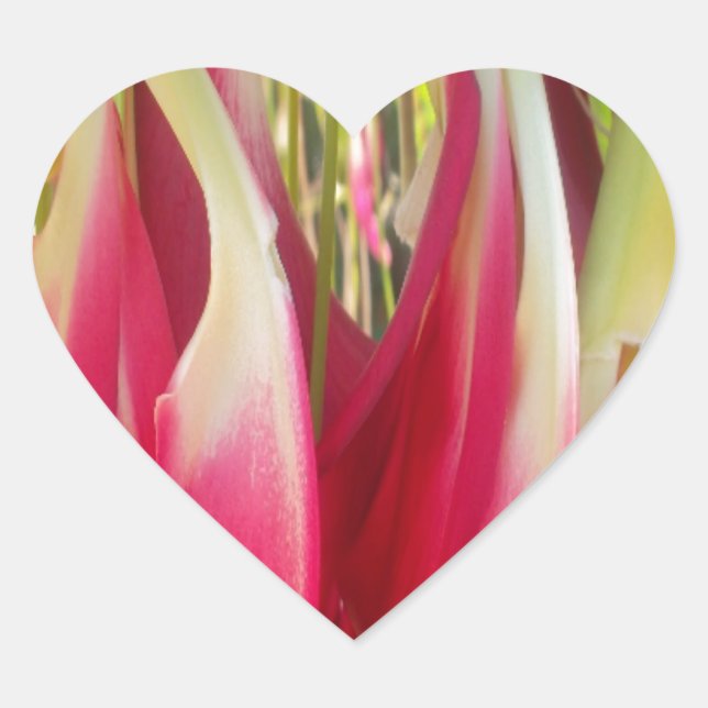 Adesivo Coração Floral Heart Impressão (Frente)