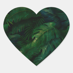 Adesivo Coração Folhagem Verde da Floresta Tropical