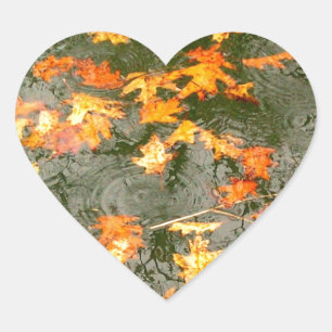 Adesivo Coração folhas caídas na chuva