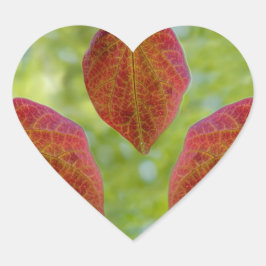 Adesivo Coração Folhas de Amor da Natureza
