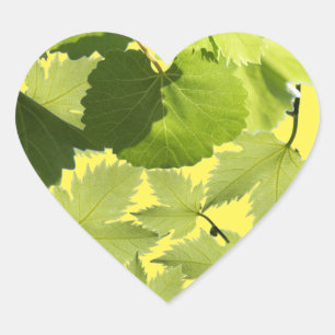 Adesivo Coração Folhas Verdes da Vinha de Grama