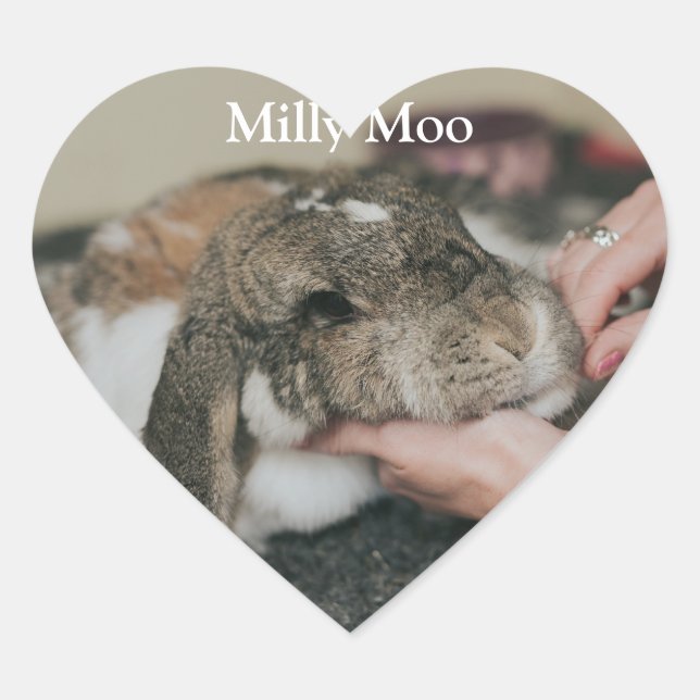 Adesivo Coração Foto personalizada Pet (Frente)