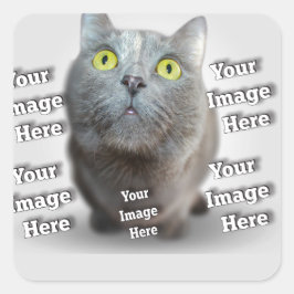 Adesivo Coração Foto PET ✨ adorável personalização