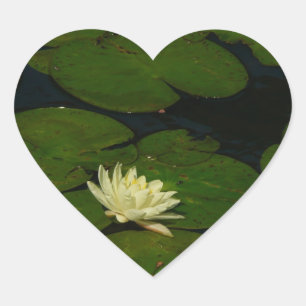 Adesivo Coração Fotografia Floral Pacífica Branca I