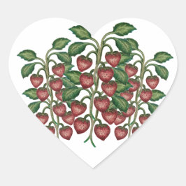Adesivo Coração Frutillas corazón