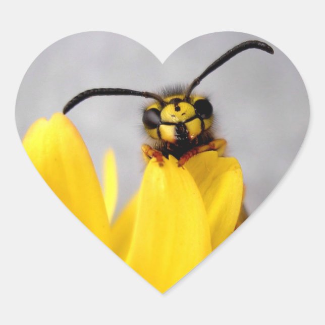 Adesivo Coração Funny Wasp bordador (Frente)
