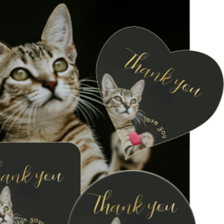 Adesivo Coração Gatinho Bonito. Eu te amo com Coração