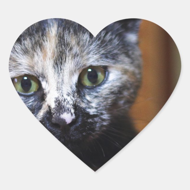 Adesivo Coração Gatinho branco e preto (Frente)