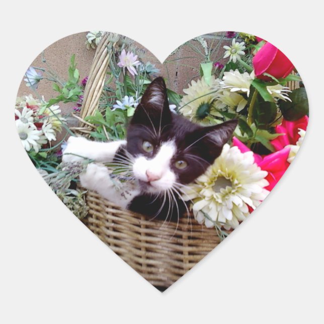 Adesivo Coração Gatinho em uma Cesta (Frente)
