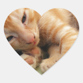 Adesivo Coração Gatinho Listrado de Tigre Fofo
