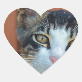 Adesivo Coração Gato Doce com olhos encantadores
