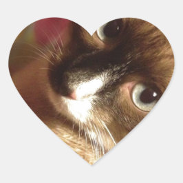 Adesivo Coração Gato Marrom Bonito