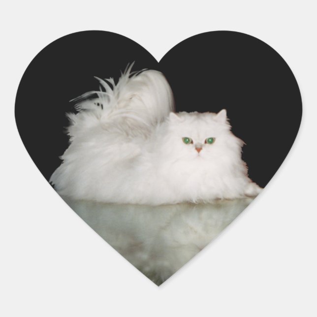 Adesivo Coração Gato Persa com Olhos Verde Jade (Frente)