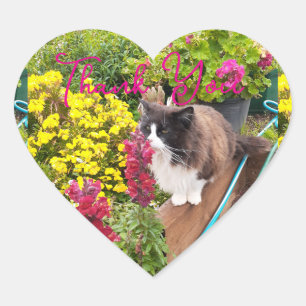 Adesivo Coração Gato Preto Branco Smoking Vermelho Amarelo Flor Ob