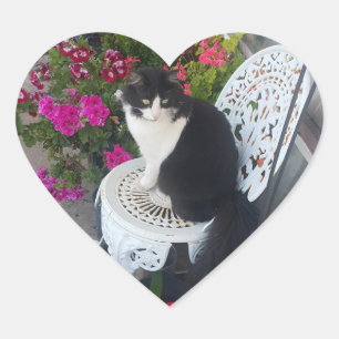 Adesivo Coração Gato Tuxedo Fofo com Flores Bonitas Gatos Pretos