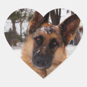 Adesivo Coração German shepherd