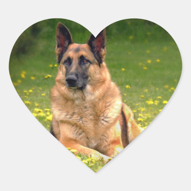 Adesivo Coração German shepherd (Frente)