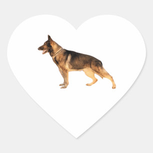 Adesivo Coração German shepherd Heart Sticker
