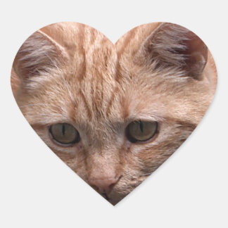 Adesivo Coração Ginger Cat Heart Shapker